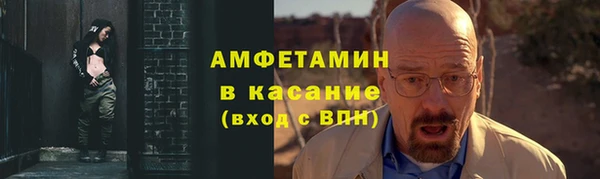 прущие грибы Сосновка
