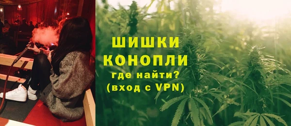 амф Гусиноозёрск