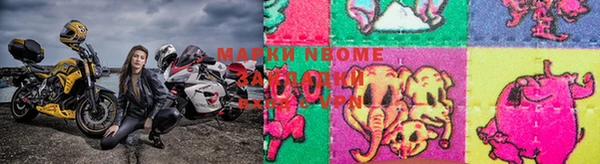 амф Гусиноозёрск