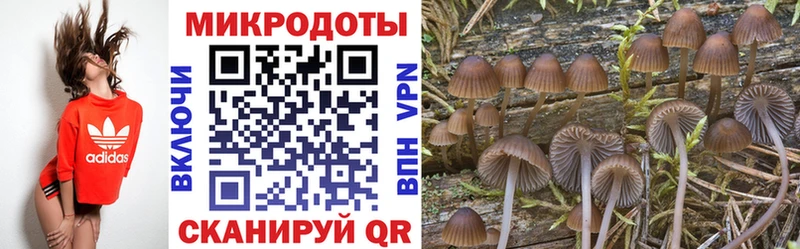 кракен ссылки  Дедовск  Галлюциногенные грибы Magic Shrooms 